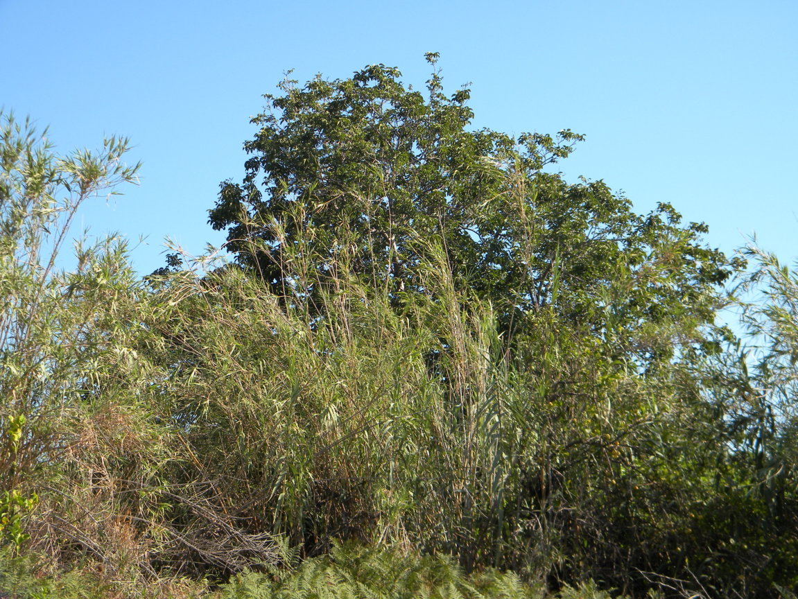 DSCN8149 .JPG